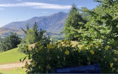 Life Balance, Self-Care and Learning to BE, by Becky Henry, CPCC