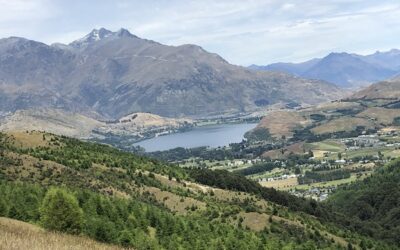 Trying New Things, by Becky Henry, CPCC